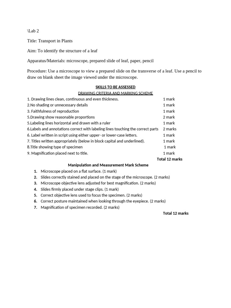 leaf-internal-structure-drawing-guide-pdf