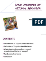 Fundamental Concepts of Organisational Behavior