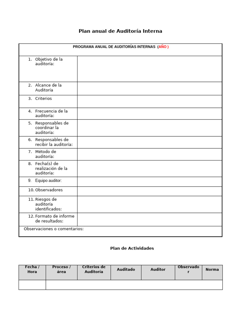 Plan Anual de Auditoría Interna 2023 | PDF