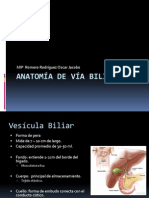 Anatomía de Vía Biliar