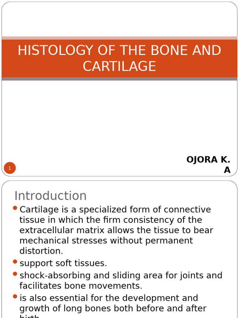 Histology of Bone and Cartilage | PDF | Bone | Osteoblast