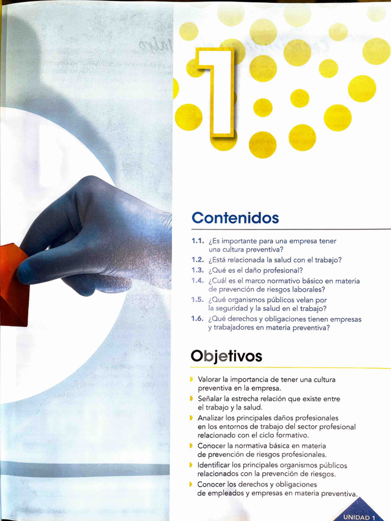 Cultura Preventiva en Empresas Laborales | PDF | Seguridad y salud ...