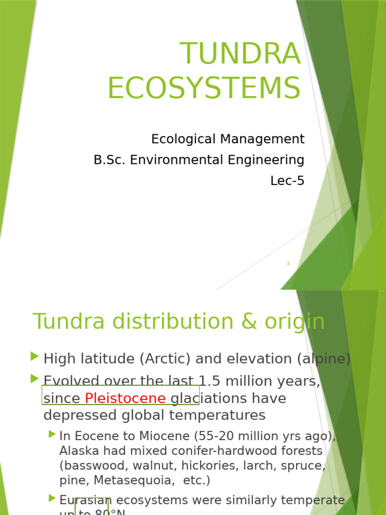 Tundra Ecosystem Overview and Climate | PDF | Landscape | Climate