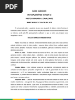 Tipos de Hímen e Suas Características | PDF