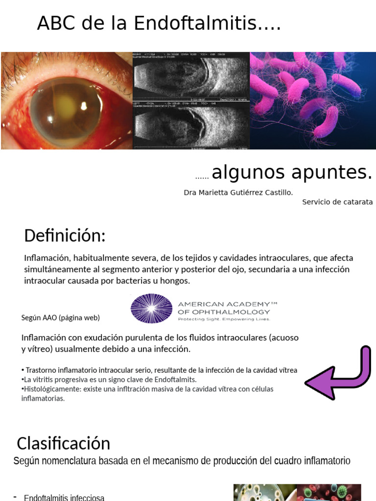 Guía Completa sobre Endoftalmitis Ocular | PDF | Medicina CLINICA ...