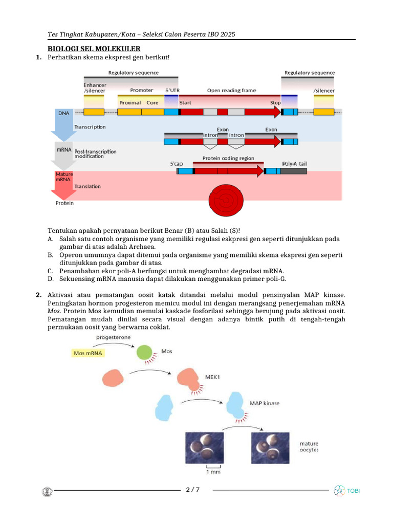 Regulasi Ekspresi Gen dalam Biologi Sel | PDF