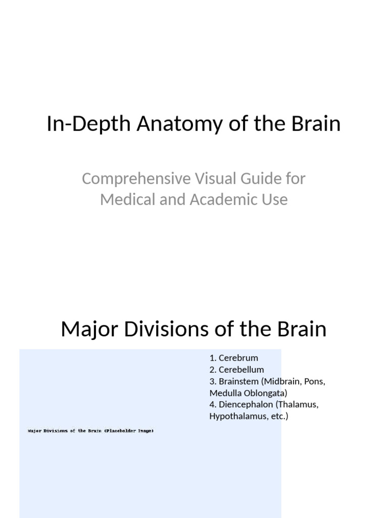 Comprehensive Brain Anatomy Guide | PDF