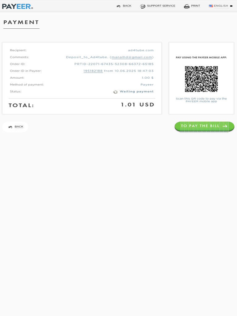 Payeer® Merchant | PDF