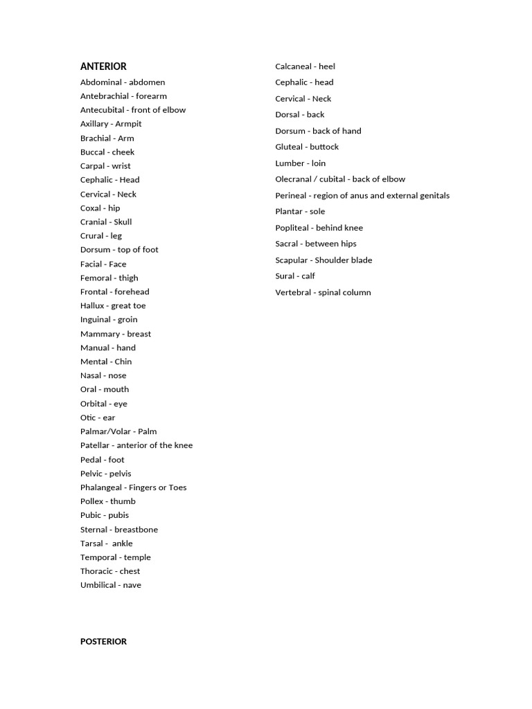 Regional Names in Human Anatomy | PDF
