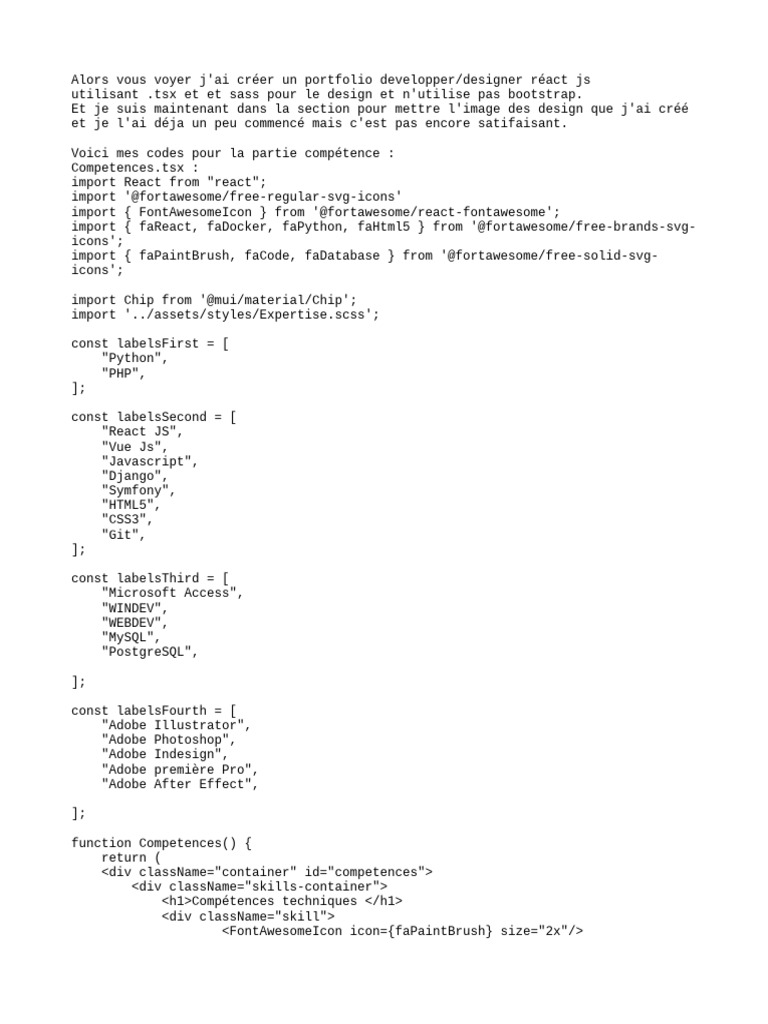 Portfolio Développeur/Designer React JS | PDF | Informatique | Génie ...