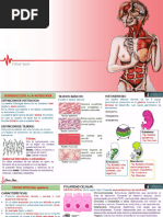 Marie -Ryoの初期イメージ The Incomplete Manga-Guide - Manga: Gigant