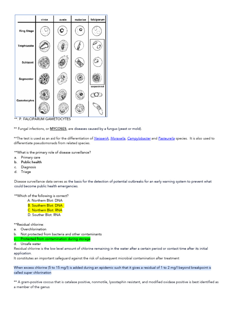 Microbiology Testing and Pathogen Identification | PDF | Bacteria | Malaria