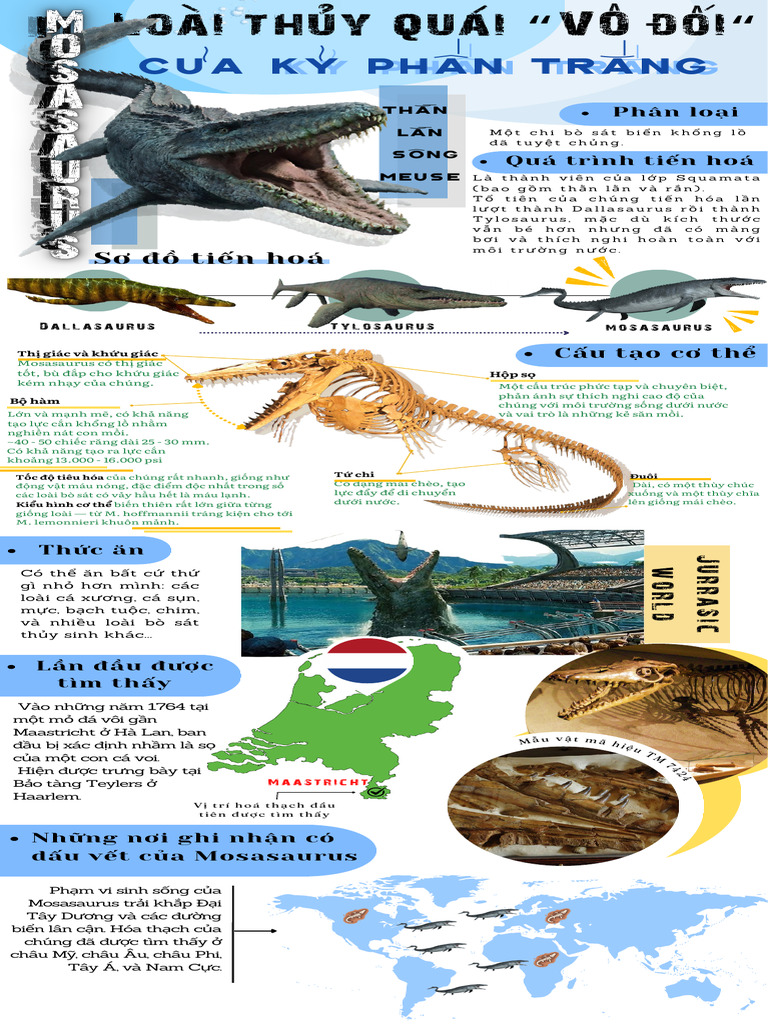 Mosasaur Us | PDF