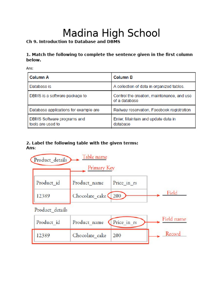 Grade 8 Chapter 9 Notes Pdf Databases Table Database