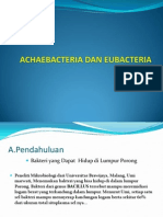 Achaebacteria Dan Eubacteria