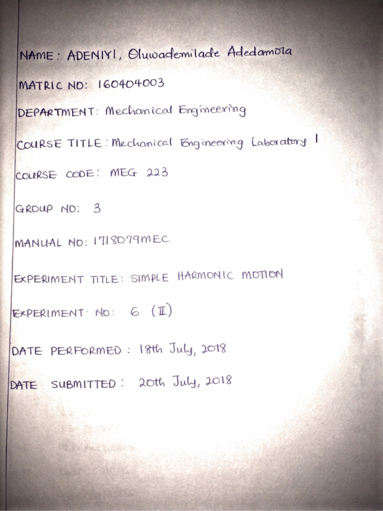 Meg223, SHM Lab Report | PDF