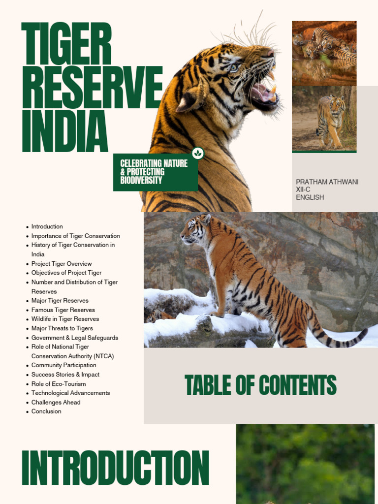 Overview of Tiger Reserves in India | PDF | Tiger | Conservation Biology