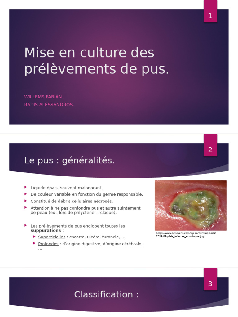 Culture et analyse du pus PDF Spécialités médicales Microbiologie — free download