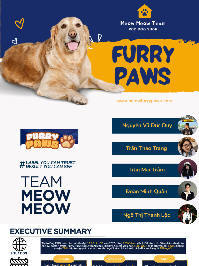 Meow Meow E-Compete | PDF
