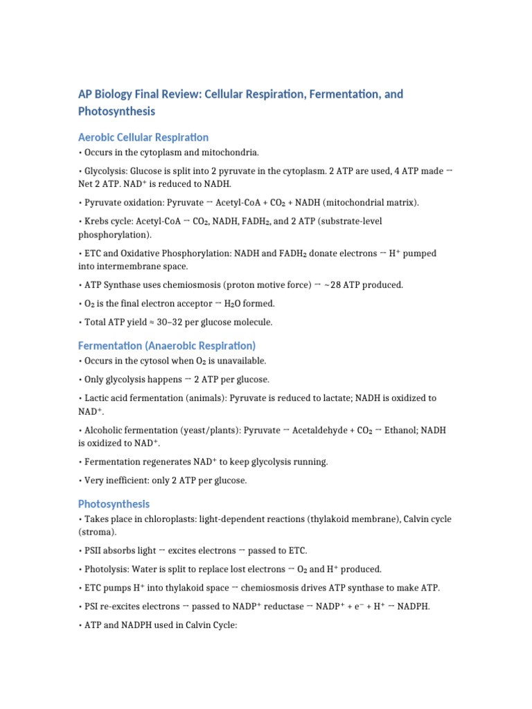 AP Bio Review: Respiration & Fermentation | PDF