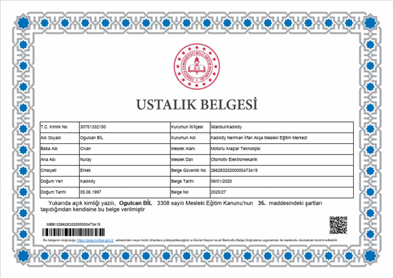 2020 270 Mesleki Yeterlilik Belgesi PDF