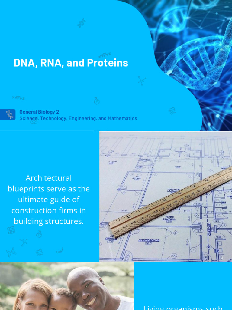 Understanding DNA and RNA Structures | PDF | Dna | Nucleotides