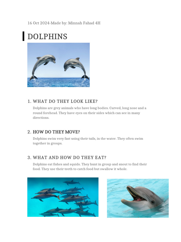 Dolphins | PDF