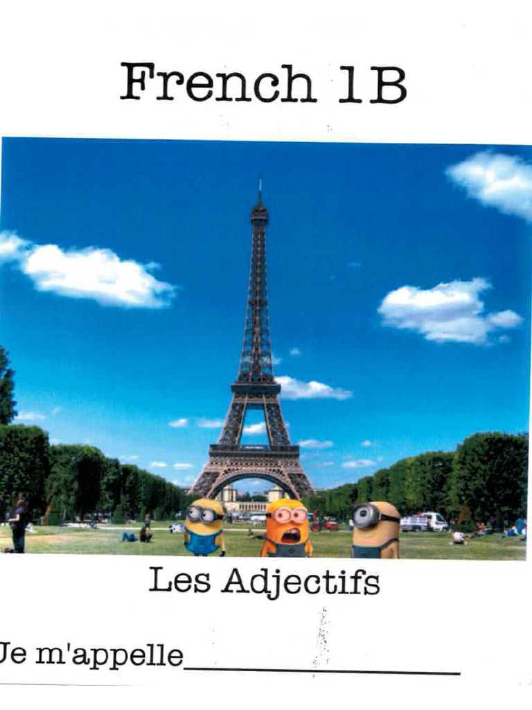 French 1B Adjective Workbook Pages 1-50 | PDF