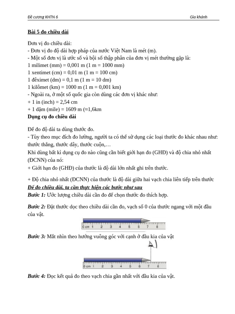 Đề Cương Khtn Bí | PDF