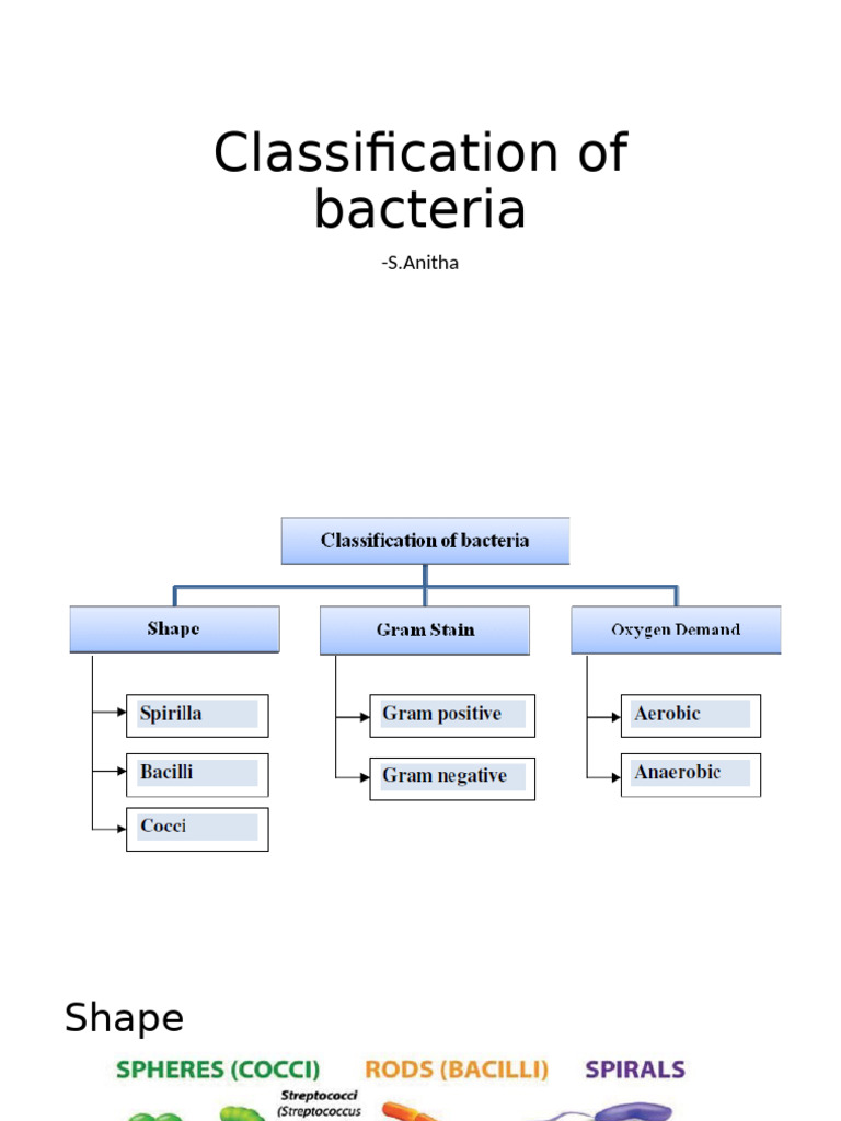 Classification of Bacteria | PDF