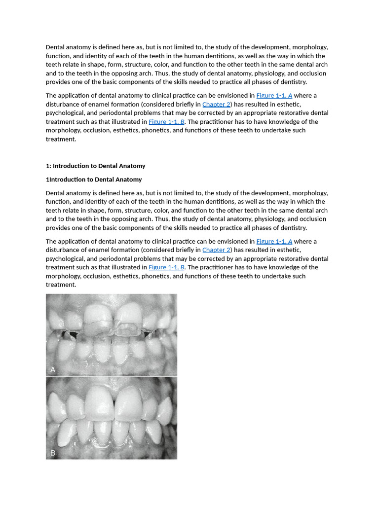 Maxillary Blood Supply in Dental Anatomy | PDF | Dental Anatomy | Tooth