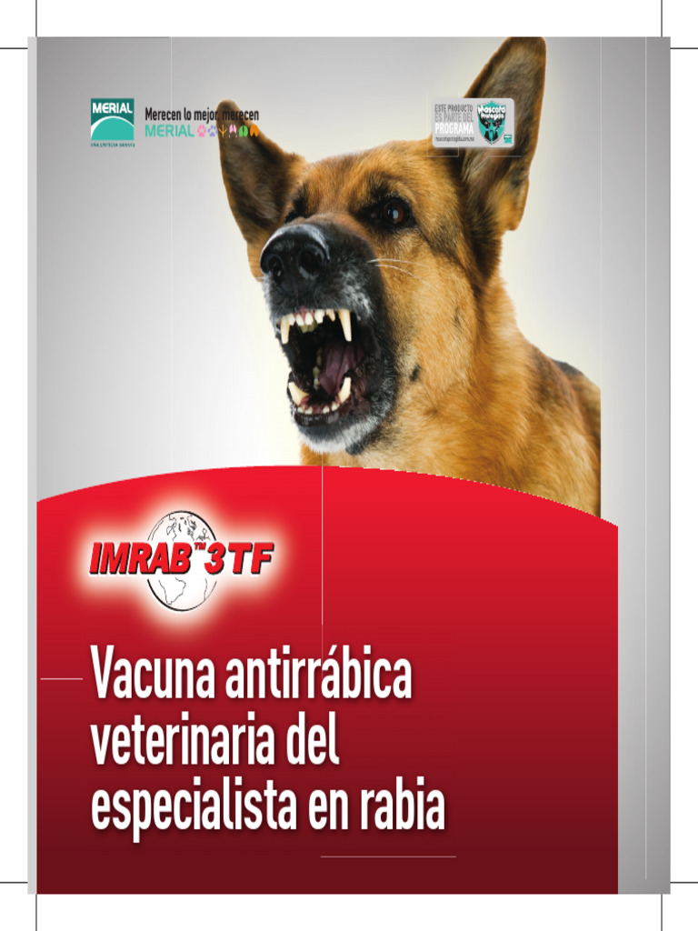 Vacuna IMRAB 3TF: Eficacia Antirrábica | PDF | Rabia | Vacunas
