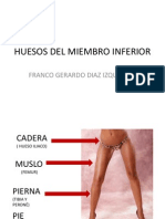 Huesos de la extremidad inferior