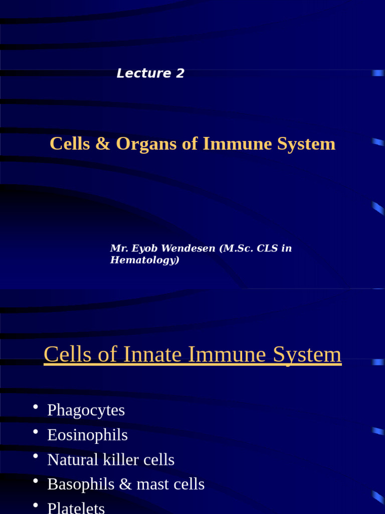 Cells and Organs of Immune System | PDF | Lymphatic System | White ...