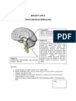 METENCEPHALON