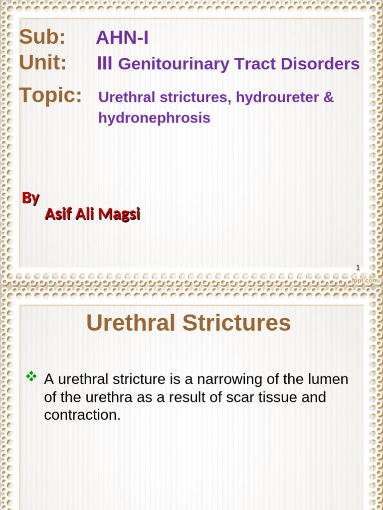 Urethral Strictures and Hydronephrosis | PDF | Urology | Medical ...