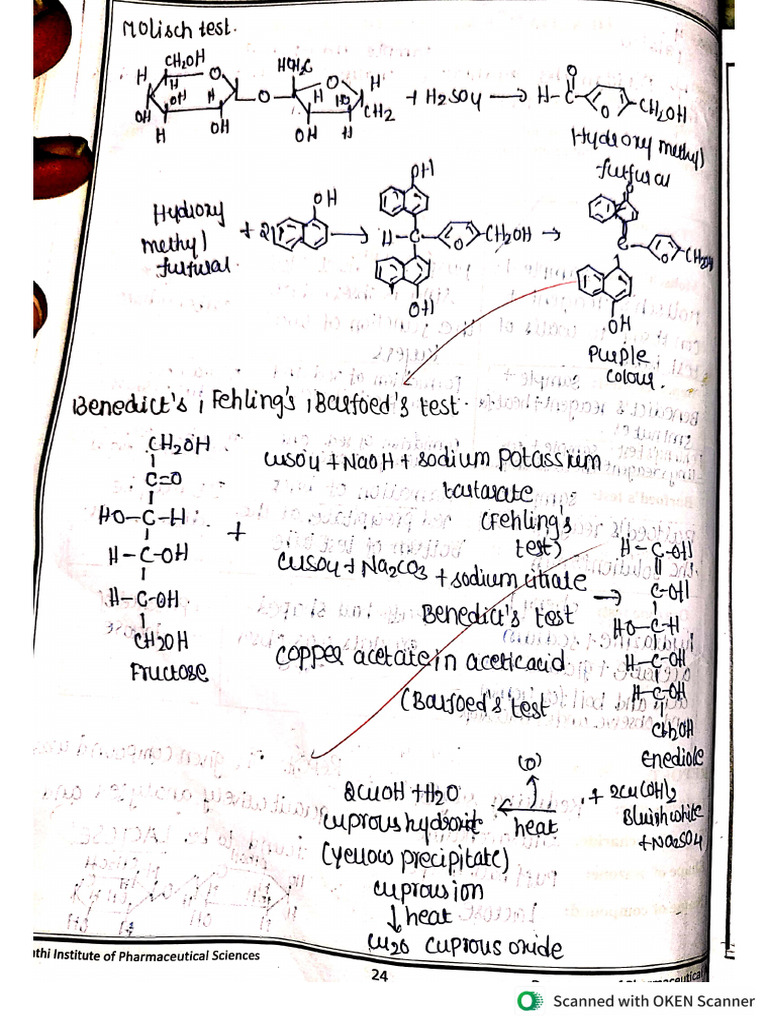 Sucrose Reactions | PDF