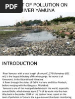 Download Impact of Pollution on River Yamuna by Anupriya Sharma SN88720898 doc pdf