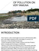 Impact of Pollution On River Yamuna