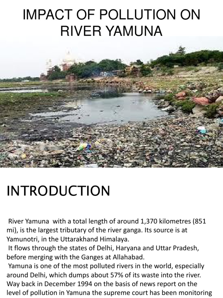 presentation on pollution of yamuna river
