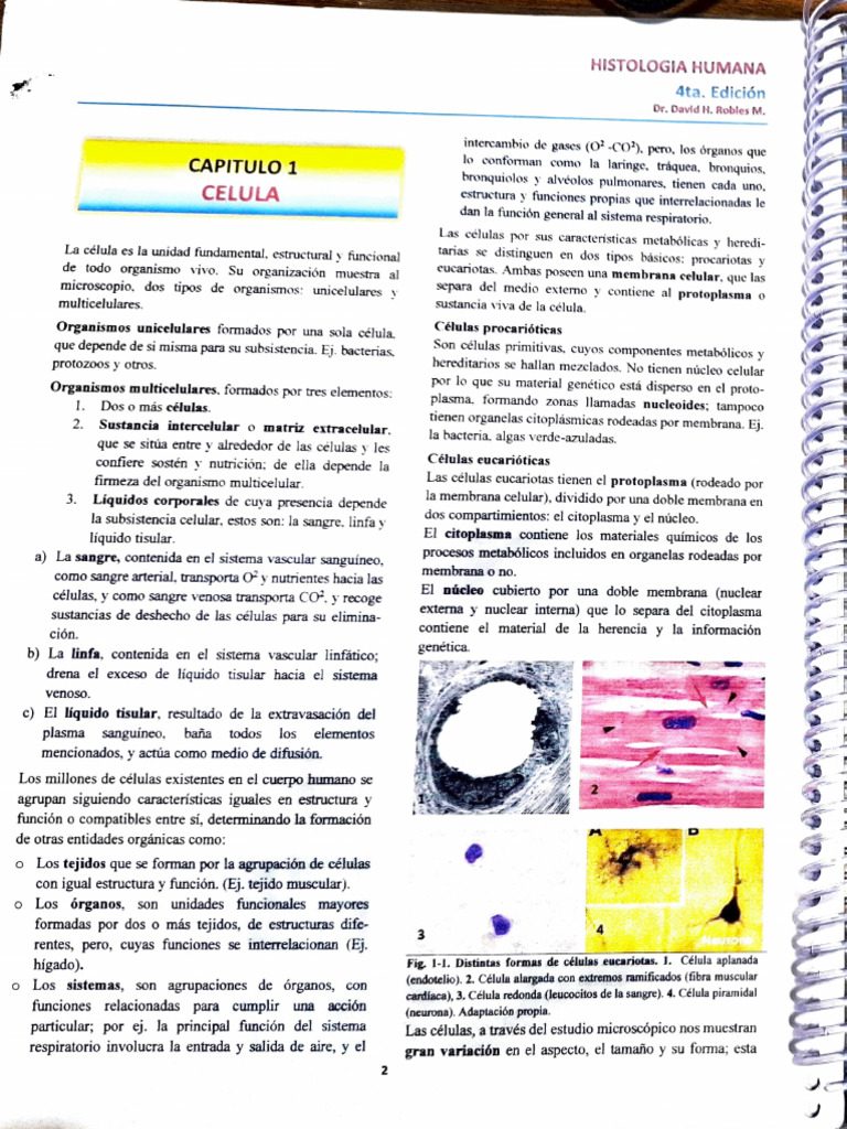 Libro 27 Jun 2025 | PDF