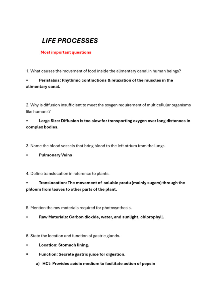 Life Processes: Key Concepts Explained | PDF | Digestion | Stomach