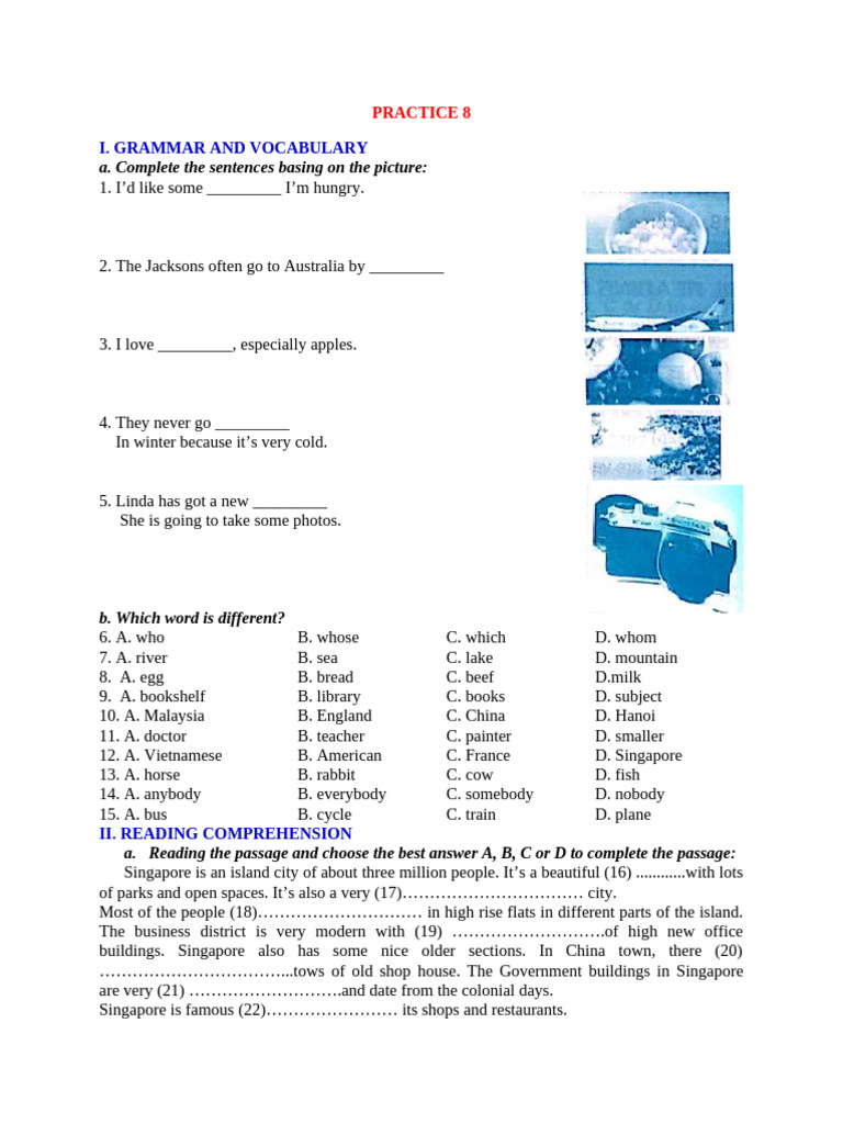 English Grammar and Vocabulary Practice | PDF | English Language ...