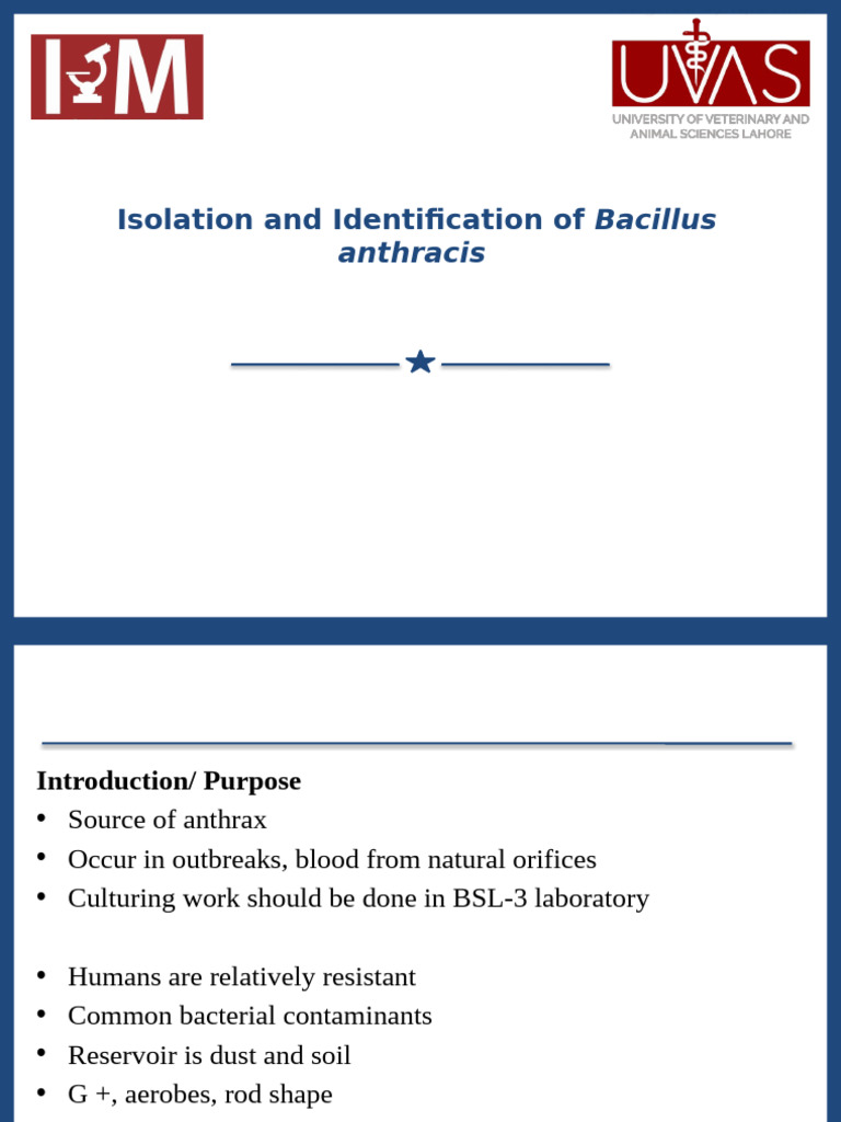 Isolation and Testing of Bacillus anthracis | PDF | Staining | Bacteria