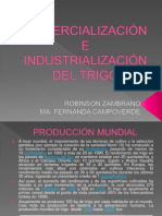 Comercialización e Industrialización Del Trigo Exposicion