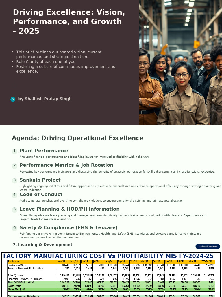 Driving Operational Excellence 2025 | PDF | Gross Margin | Business