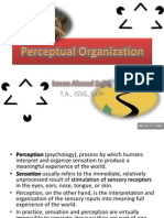 Perceptual Organization