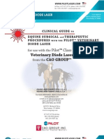 Pilot Laser - Equine Surgery &amp; Therapy