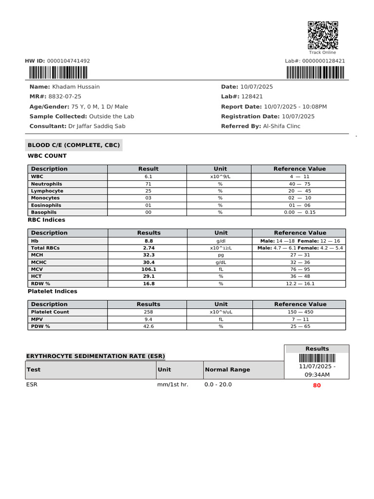 8832-07-25 - Khadam Hussain - Laboratory Report | PDF | White Blood ...