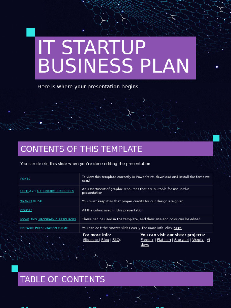 IT Startup Business Plan by Slidesgo | PDF | Marketing | Business Economics